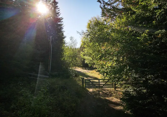 Photo 2 of Land for sale at 34221 S Dunn Rd, Chattaroy, WA 99003 | MLS# 202624477 | Listing updated on 2026-09-19