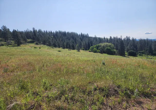 Photo 3 of Land for sale at Xxx Hall Crk Rd, Inchelium, WA 99138 | MLS# 202624498 | Listing updated on 2026-09-19