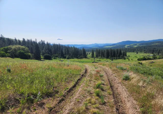 Photo 4 of Land for sale at Xxx Hall Crk Rd, Inchelium, WA 99138 | MLS# 202624498 | Listing updated on 2026-09-19