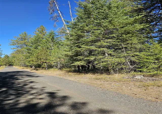 Photo 2 of Land for sale at 385x Agar Rd, Loon Lake, WA 99148 | MLS# 202624571 | Listing updated on 2026-09-27