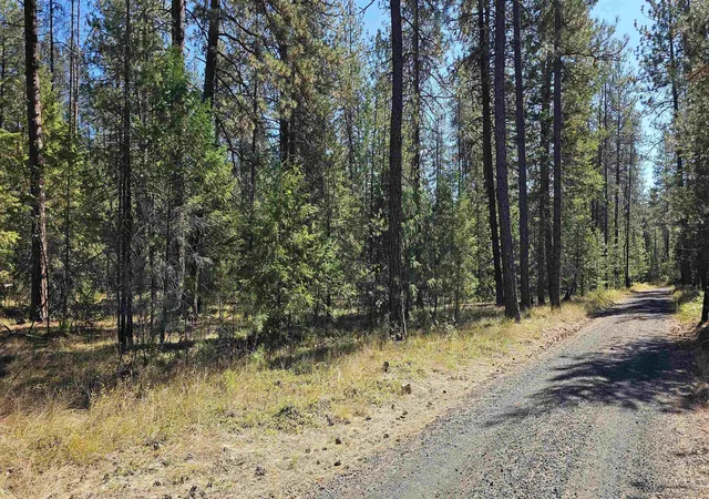 Photo 3 of Land for sale at 385x Agar Rd, Loon Lake, WA 99148 | MLS# 202624571 | Listing updated on 2026-09-27