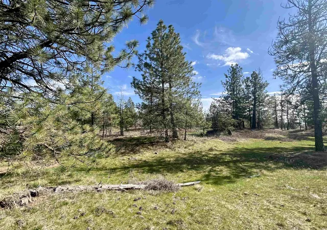 Photo 1 of Land for sale at 249015 W Kitt Rd, Reardan, WA 99029 | MLS# 202624574 | Listing updated on 2026-09-21