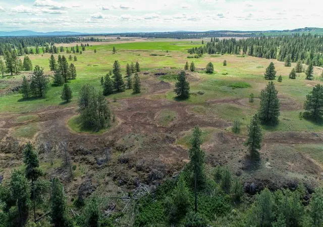 Photo 3 of Land for sale at 249015 W Kitt Rd, Reardan, WA 99029 | MLS# 202624574 | Listing updated on 2026-09-21