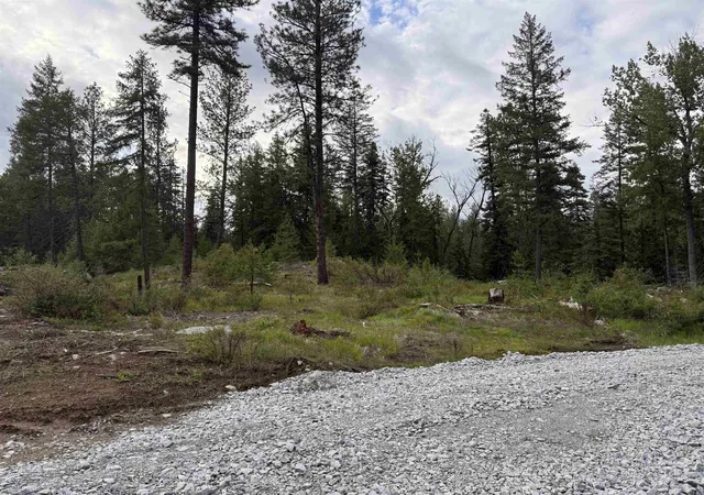 Photo 3 of Land for sale at Nkn Lot 1 Veit Rd, Newport, WA 99156 | MLS# 202624600 | Listing updated on 2026-09-22