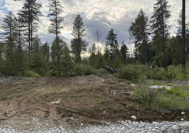 Photo 3 of Land for sale at Nkn Lot 1 Veit Rd, Newport, WA 99156 | MLS# 202624600 | Listing updated on 2026-09-22