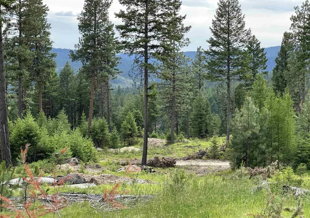 Photo 1 of Land for sale at 36xx Lot A Sheridan Rd, Republic, WA 99166 | MLS# 202624606 | Listing updated on 2026-09-28
