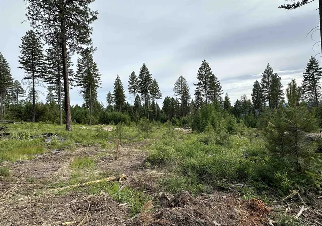 Photo 2 of Land for sale at 36xx Lot A Sheridan Rd, Republic, WA 99166 | MLS# 202624606 | Listing updated on 2026-09-28