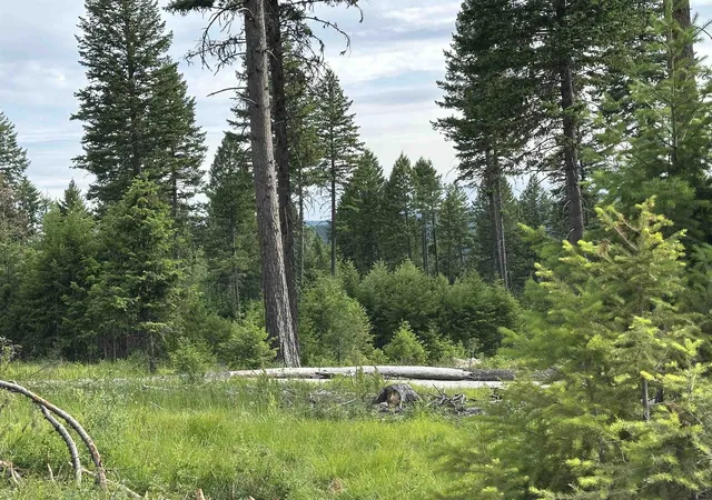 Photo 3 of Land for sale at 36xx Lot A Sheridan Rd, Republic, WA 99166 | MLS# 202624606 | Listing updated on 2026-09-28