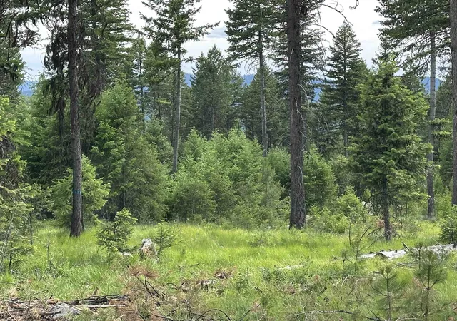 Photo 3 of Land for sale at 36xx Lot A Sheridan Rd, Republic, WA 99166 | MLS# 202624606 | Listing updated on 2026-09-28