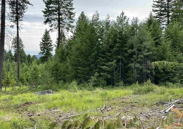 Photo 4 of Land for sale at 36xx Lot A Sheridan Rd, Republic, WA 99166 | MLS# 202624606 | Listing updated on 2026-09-28