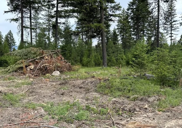 Photo 2 of Land for sale at 36xx Lot B Sheridan Rd, Republic, WA 99166 | MLS# 202624607 | Listing updated on 2026-09-28