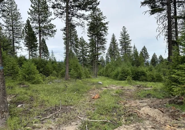 Photo 4 of Land for sale at 36xx Lot B Sheridan Rd, Republic, WA 99166 | MLS# 202624607 | Listing updated on 2026-09-28