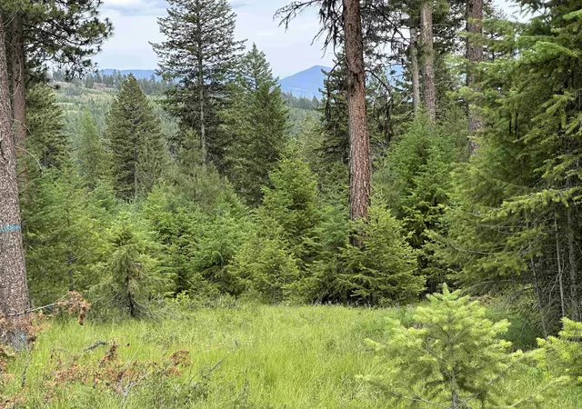 Photo 1 of Land for sale at 36xx Lot C Sheridan Rd, Republic, WA 99166 | MLS# 202624608 | Listing updated on 2026-09-29