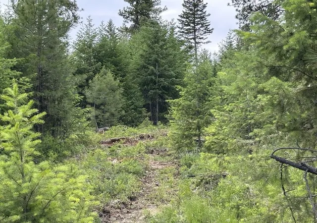 Photo 3 of Land for sale at 36xx Lot C Sheridan Rd, Republic, WA 99166 | MLS# 202624608 | Listing updated on 2026-09-29