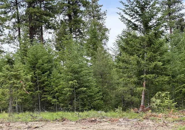 Photo 3 of Land for sale at 36xx Lot C Sheridan Rd, Republic, WA 99166 | MLS# 202624608 | Listing updated on 2026-09-29