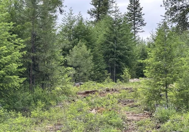 Photo 3 of Land for sale at 36xx Lot D Sheridan Rd, Republic, WA 99166 | MLS# 202624609 | Listing updated on 2026-09-28