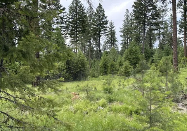 Photo 3 of Land for sale at 36xx Lot E Sheridan Rd, Republic, WA 99166 | MLS# 202624612 | Listing updated on 2026-09-28