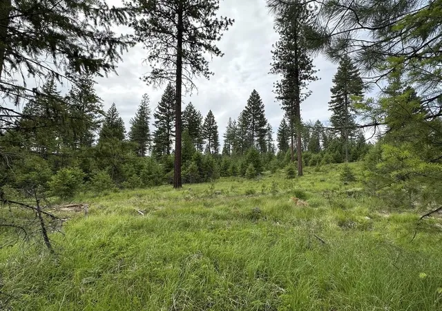 Photo 3 of Land for sale at 36xx Lot E Sheridan Rd, Republic, WA 99166 | MLS# 202624612 | Listing updated on 2026-09-28
