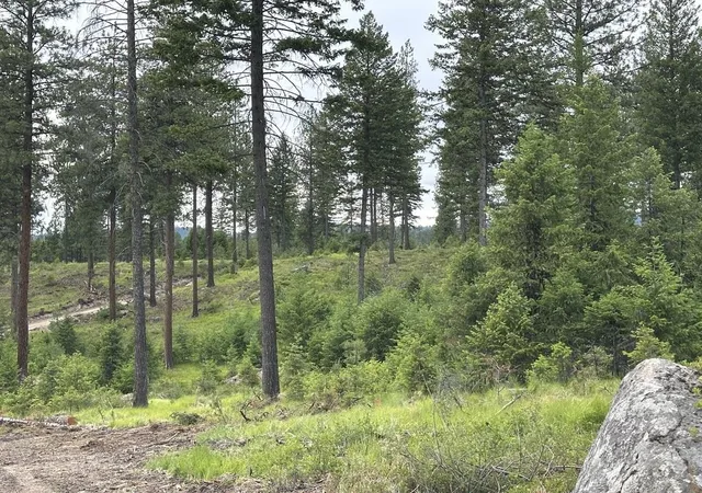 Photo 1 of Land for sale at 36xx Lot F Sheridan Rd, Republic, WA 99166 | MLS# 202624616 | Listing updated on 2026-09-28