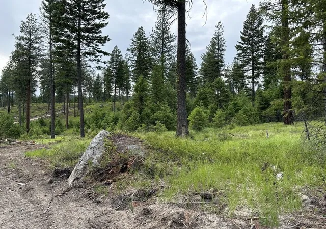 Photo 2 of Land for sale at 36xx Lot F Sheridan Rd, Republic, WA 99166 | MLS# 202624616 | Listing updated on 2026-09-28
