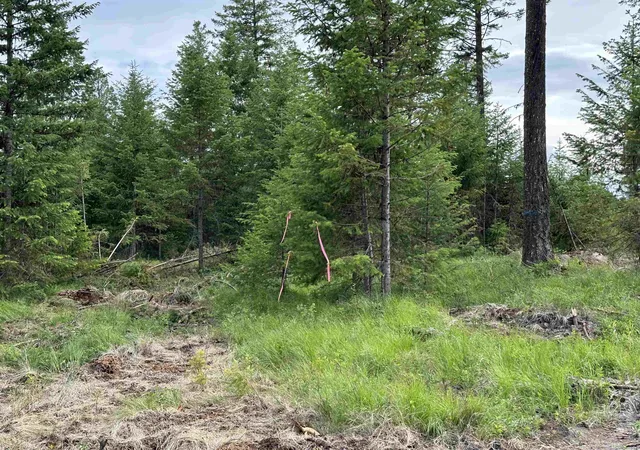 Photo 4 of Land for sale at 36xx Lot F Sheridan Rd, Republic, WA 99166 | MLS# 202624616 | Listing updated on 2026-09-28