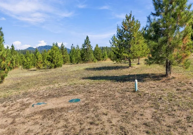 Photo 4 of Land for sale at 250 Paragon Dr, Newport, WA 99156 | MLS# 202624645 | Listing updated on 2026-09-22
