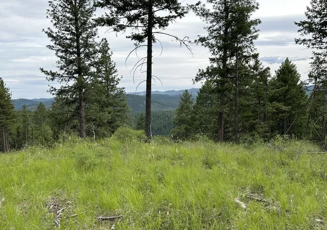Photo 1 of Land for sale at 36xx Lot Q Sheridan Rd, Republic, WA 99166 | MLS# 202624660 | Listing updated on 2026-09-29