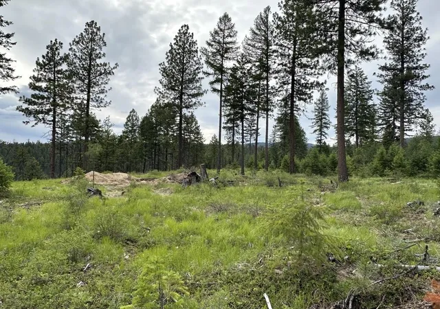 Photo 2 of Land for sale at 36xx Lot Q Sheridan Rd, Republic, WA 99166 | MLS# 202624660 | Listing updated on 2026-09-29