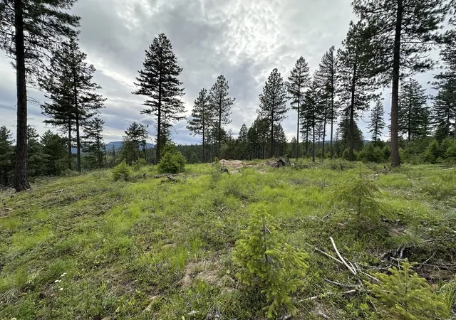 Photo 3 of Land for sale at 36xx Lot Q Sheridan Rd, Republic, WA 99166 | MLS# 202624660 | Listing updated on 2026-09-29