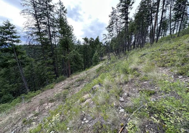 Photo 3 of Land for sale at 36xx Lot Q Sheridan Rd, Republic, WA 99166 | MLS# 202624660 | Listing updated on 2026-09-29