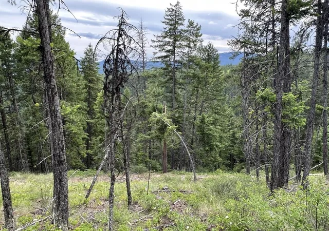 Photo 4 of Land for sale at 36xx Lot Q Sheridan Rd, Republic, WA 99166 | MLS# 202624660 | Listing updated on 2026-09-29
