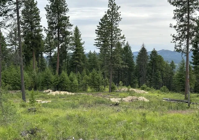 Photo 1 of Land for sale at 36xx Lot P Sheridan Rd, Republic, WA 99166 | MLS# 202624666 | Listing updated on 2026-09-29