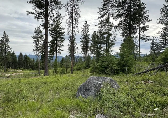 Photo 2 of Land for sale at 36xx Lot P Sheridan Rd, Republic, WA 99166 | MLS# 202624666 | Listing updated on 2026-09-29