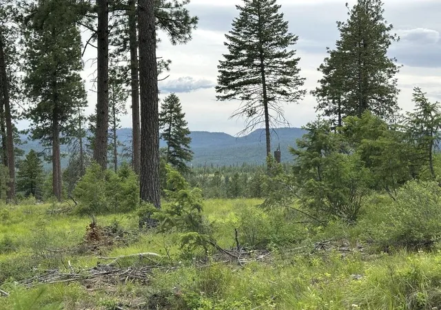 Photo 3 of Land for sale at 36xx Lot P Sheridan Rd, Republic, WA 99166 | MLS# 202624666 | Listing updated on 2026-09-29