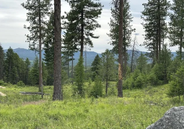 Photo 4 of Land for sale at 36xx Lot P Sheridan Rd, Republic, WA 99166 | MLS# 202624666 | Listing updated on 2026-09-29