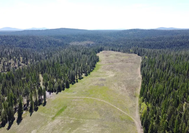 Photo 3 of Land for sale at 52xx Wagner Lot D Rd, Springdale, WA 99173 | MLS# 202624691 | Listing updated on 2026-09-23