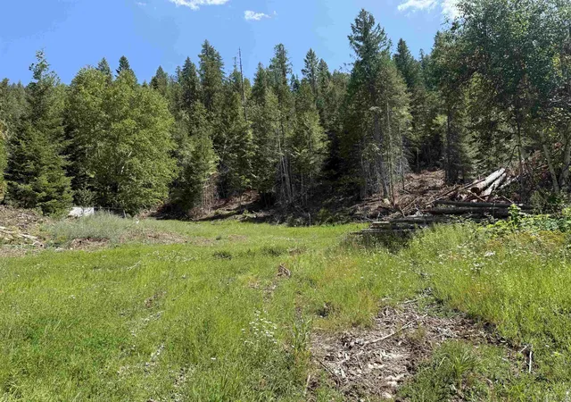Photo 3 of Land for sale at 3516 Deep Lake Boundary Rd, Colville, WA 99114 | MLS# 202624710 | Listing updated on 2026-09-24