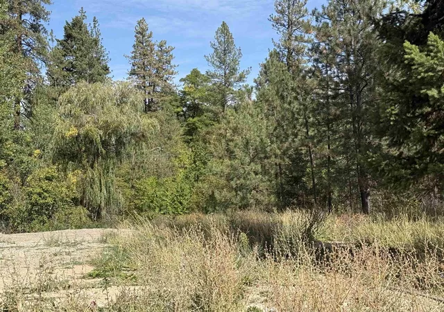 Photo 3 of Land for sale at Xxx W Shaffer Ave, Springdale, WA 99173 | MLS# 202624742 | Listing updated on 2026-10-01