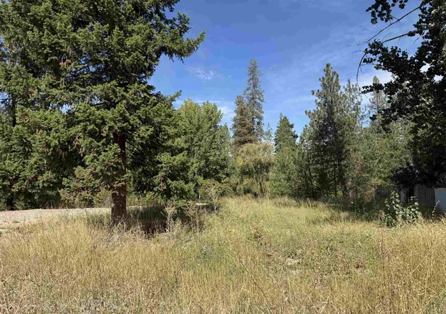 Photo 3 of Land for sale at Xxx W Shaffer Ave, Springdale, WA 99173 | MLS# 202624742 | Listing updated on 2026-10-01