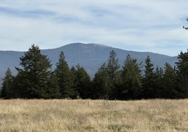 Photo 1 of Land for sale at 25xxx N Orchard Blf Rd, Chattaroy, WA 99003 | MLS# 202624795 | Listing updated on 2026-10-09