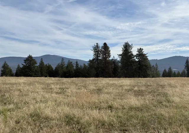 Photo 2 of Land for sale at 25xxx N Orchard Blf Rd, Chattaroy, WA 99003 | MLS# 202624795 | Listing updated on 2026-10-09