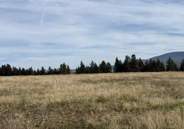 Photo 3 of Land for sale at 25xxx N Orchard Blf Rd, Chattaroy, WA 99003 | MLS# 202624795 | Listing updated on 2026-10-09