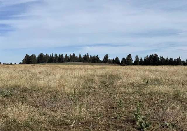 Photo 3 of Land for sale at 25xxx N Orchard Blf Rd, Chattaroy, WA 99003 | MLS# 202624795 | Listing updated on 2026-10-09