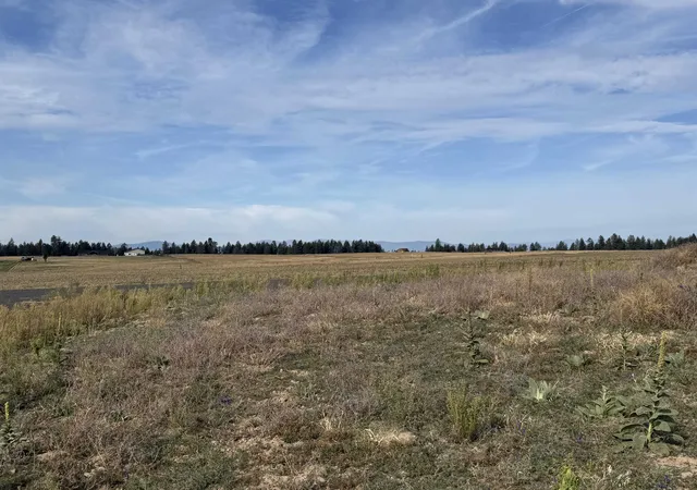 Photo 4 of Land for sale at 25xxx N Orchard Blf Rd, Chattaroy, WA 99003 | MLS# 202624795 | Listing updated on 2026-10-09