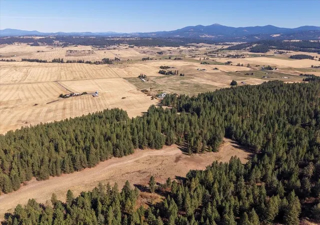 Photo 3 of Land for sale at 9270 E Peone Rd, Mead, WA 99021 | MLS# 202624828 | Listing updated on 2026-10-02