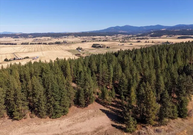 Photo 4 of Land for sale at 9270 E Peone Rd, Mead, WA 99021 | MLS# 202624828 | Listing updated on 2026-10-02