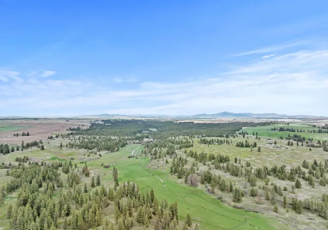 Photo 2 of Land for sale at 33xxx S N Pine Crk Rd, Rosalia, WA 99170 | MLS# 202624839 | Listing updated on 2026-10-02
