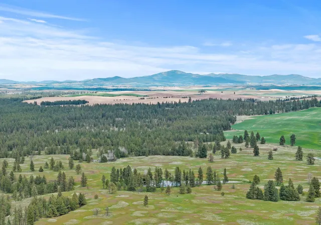 Photo 3 of Land for sale at 33xxx S N Pine Crk Rd, Rosalia, WA 99170 | MLS# 202624839 | Listing updated on 2026-10-02