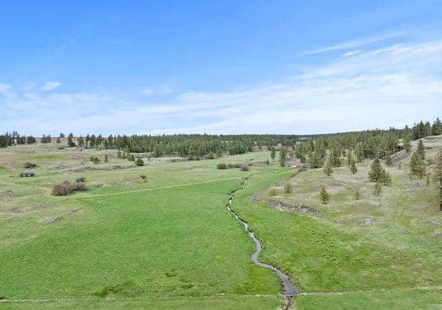 Photo 4 of Land for sale at 33xxx S N Pine Crk Rd, Rosalia, WA 99170 | MLS# 202624839 | Listing updated on 2026-10-02