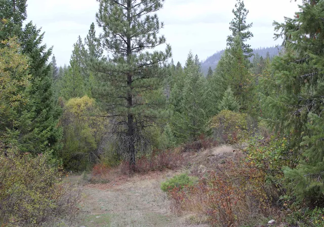 Photo 1 of Land for sale at 101 Hearts Delight Ln, Newport, WA 99156 | MLS# 202624865 | Listing updated on 2026-09-30